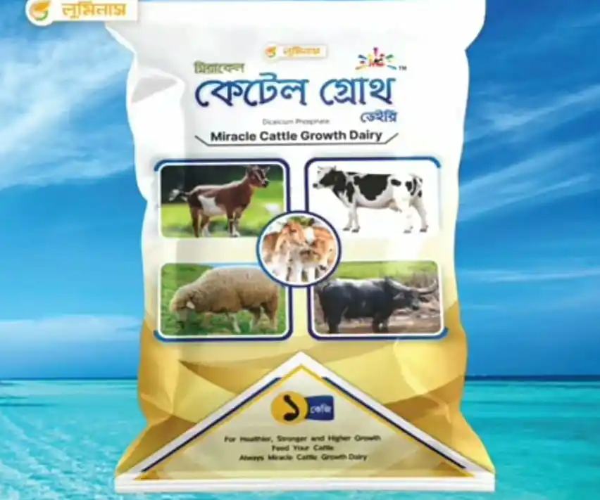 কেটেল গ্রোথ
